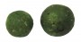VRT2-401+VRT2-402 - GREEN BEST BOILIES B